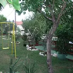Ana