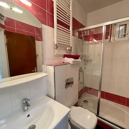 Guest house Ana 3*